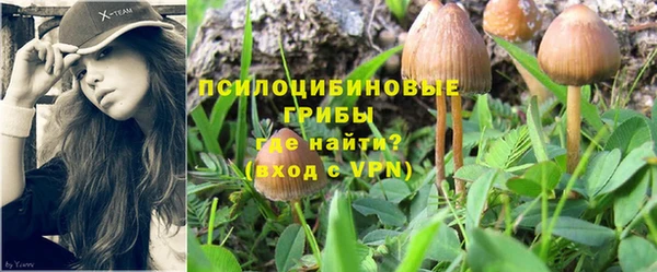 ALPHA PVP Алзамай