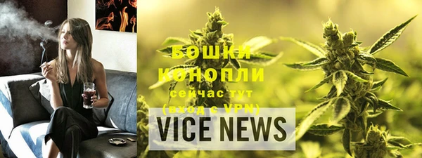 прущие грибы Сатка